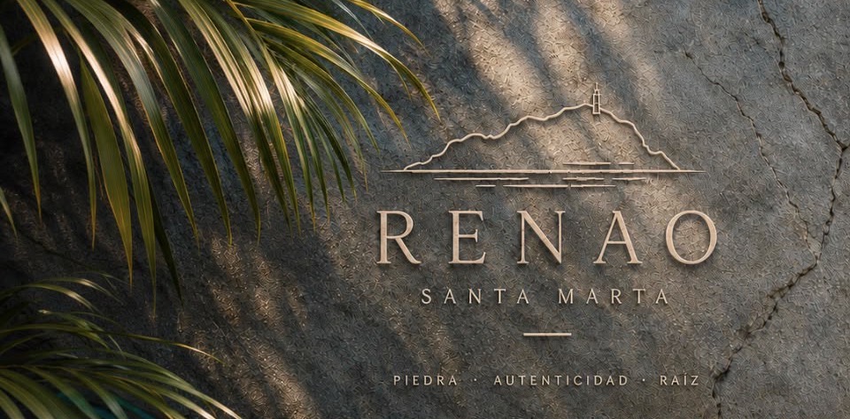 Muro de piedra con sombras de palmeras y el logo grabado de RENAO Santa Marta, Apartaestudios Rodadero